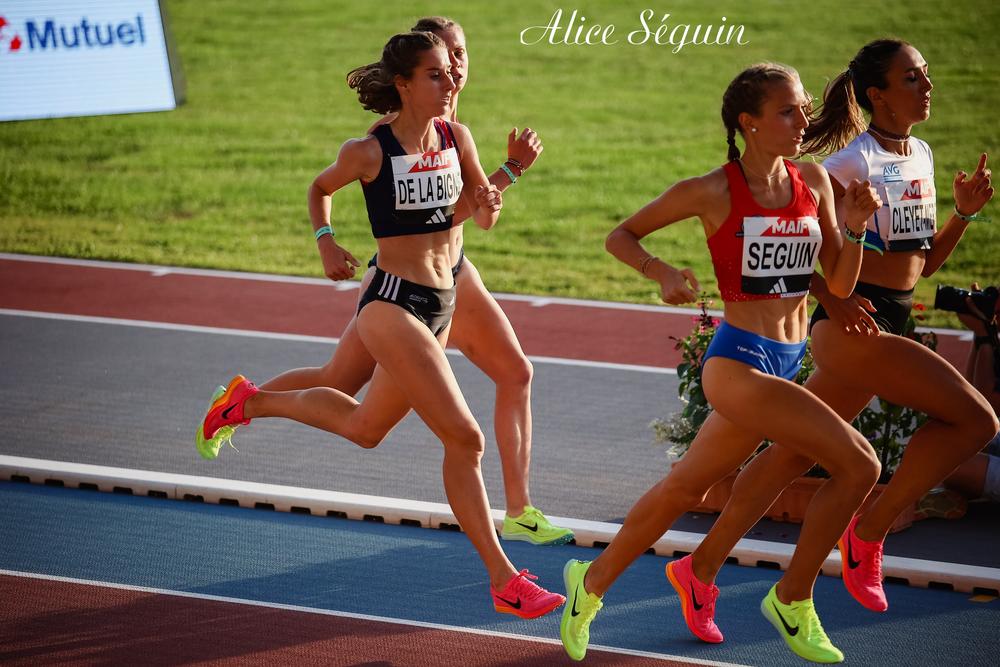 slide alice_seguin_2.jpg
